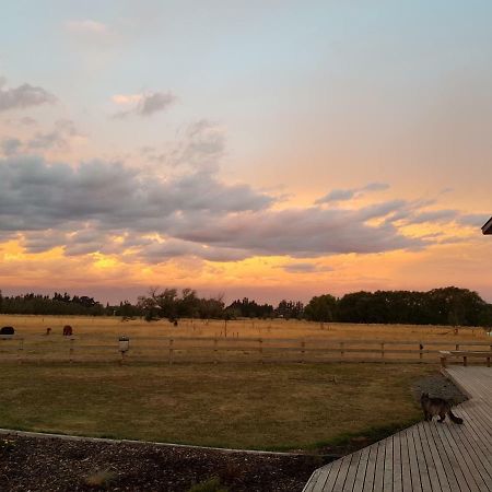 Bentleys Country Stay Hawarden Ngoại thất bức ảnh